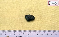 藏品(碎骨片)的圖片